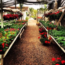 Tony's Nursery