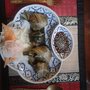 Thai Style