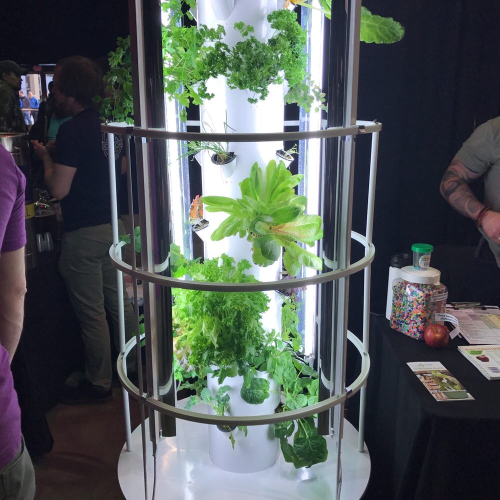 Indy VegFest - Festivals Near Me - Indianapolis, Indiana Indy VegFest - Festivals Near Me - Indianapolis, Indiana