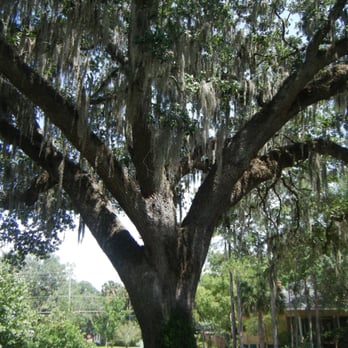 George W Touhy Park - Listen carefully to them - Parks Near Me - Sanford, Florida George W Touhy Park - Listen carefully to them - Parks Near Me - Sanford, Florida