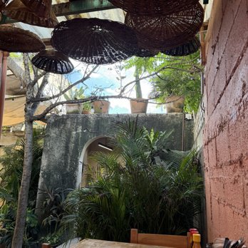 La Negra Tomasa - Seafood Near Me - Tulum, ROO
