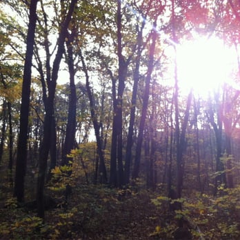 Jenny Jump State Forest - What to expect during your Jenny Jump mornings... - Hiking Near Me - Hope, New Jersey