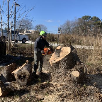 William Dagenhart Tree Service - Tree Services Near Me - Pittsville, Maryland William Dagenhart Tree Service - Tree Services Near Me - Pittsville, Maryland
