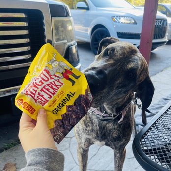 Daniel Boone Coffee Shop - Adorable dog - Coffee & Tea Near Me - Slade, Kentucky
