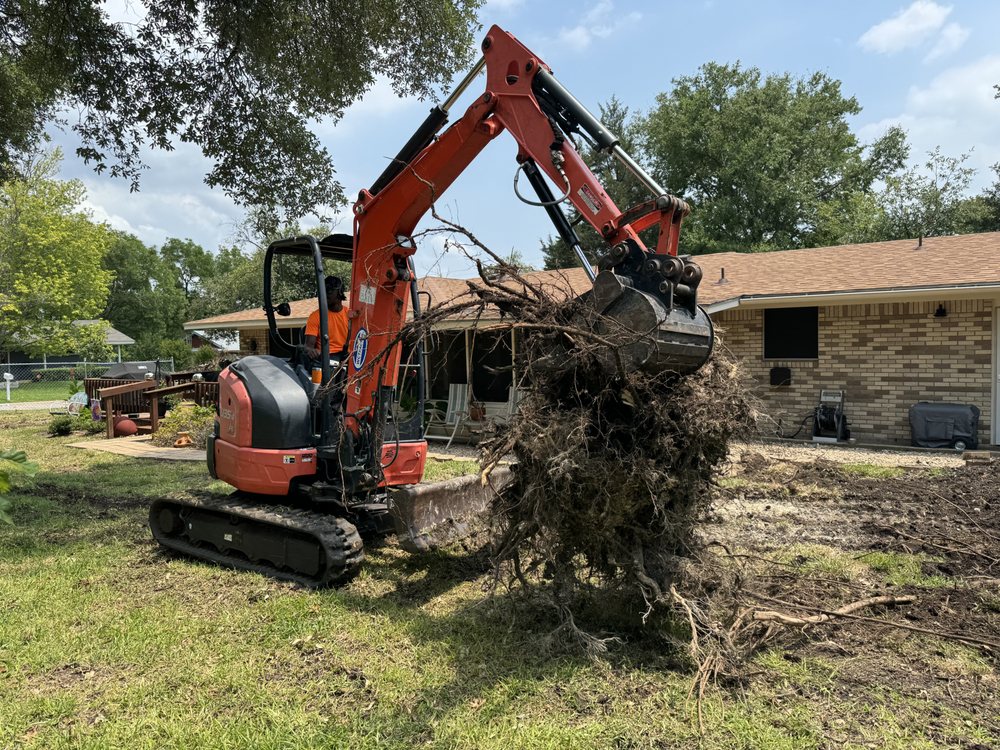 Texas View - veterans service organization in Killeen, TX