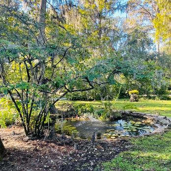 Eureka Springs Park - Parks Near Me - Tampa, Florida Eureka Springs Park - Parks Near Me - Tampa, Florida