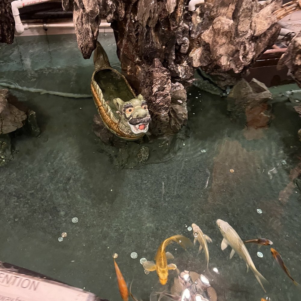 Super Buffet VI Sushi Grill - Bar fish pond - Buffets Near Me - Sarasota, Florida Super Buffet VI Sushi Grill - Bar fish pond - Buffets Near Me - Sarasota, Florida