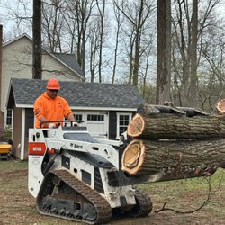 H&A Meza Tree Service