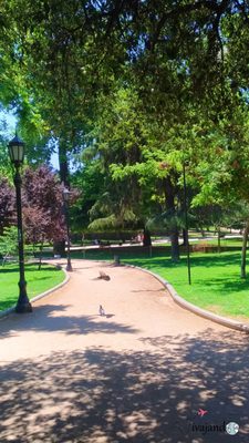 Parque Forestal by null
