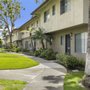 Mango Tree Apartments