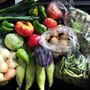 Photo of Urban Eden Farm
