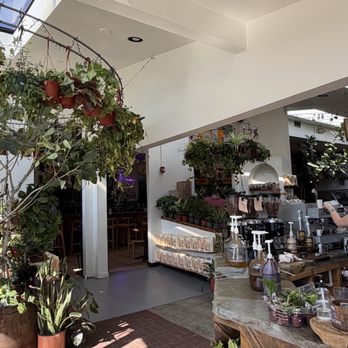 11th Hour Coffee - Coffee & Tea Near Me - Santa Cruz, California