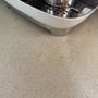 Photo of Germicidal Maids House Cleaning