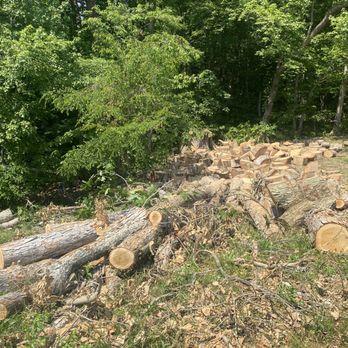 Spence's Tree Service - Tree Services Near Me - Huntingtown, Maryland Spence's Tree Service - Tree Services Near Me - Huntingtown, Maryland