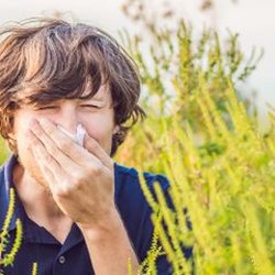 Strickland’s Pharmacy - 3 Common Types of Fall Allergies in Georgia