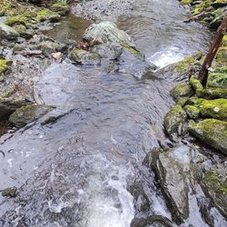 Alander Mountain Trail - Another view of the stream