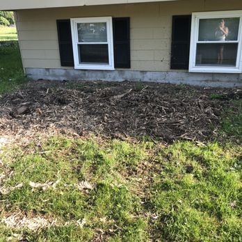 JG Lawn & Snow - To the right of the stump and closest to our house. The grass is completely torn up and there are parts of roots sticking up and out. - Landscaping Near Me - Tully, New York