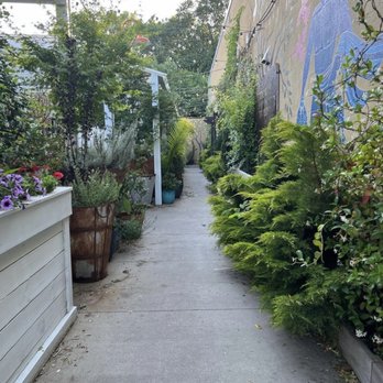Kipos Greek Taverna - walkway - Greek Near Me - Chapel Hill, North Carolina Kipos Greek Taverna - walkway - Greek Near Me - Chapel Hill, North Carolina