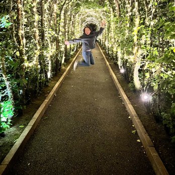 Dromoland Castle - Lit arches leading to the garden - Hotels Near Me - Newmarket-on-Fergus, CE