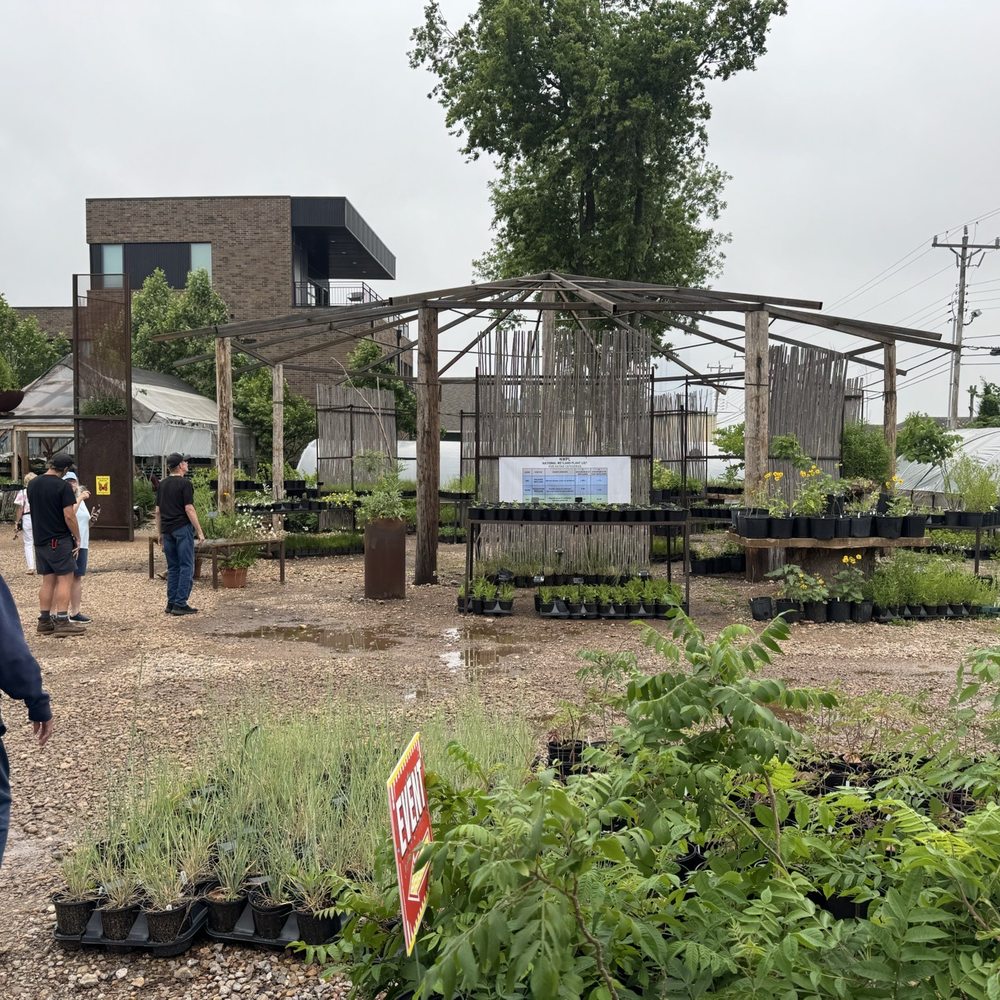 Native Plant Nursery - Plants - Nurseries & Gardening Near Me - Oklahoma City, Oklahoma Native Plant Nursery - Plants - Nurseries & Gardening Near Me - Oklahoma City, Oklahoma