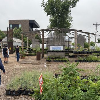 Native Plant Nursery - Plants - Nurseries & Gardening Near Me - Oklahoma City, Oklahoma Native Plant Nursery - Plants - Nurseries & Gardening Near Me - Oklahoma City, Oklahoma