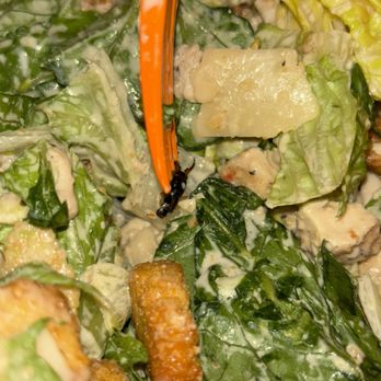 Salad and Go - Salad Near Me - Glendale, Arizona Salad and Go - Salad Near Me - Glendale, Arizona