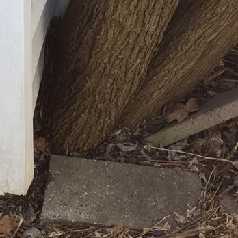 Badger Home Inspections - Home Inspectors Near Me - Madison, Wisconsin