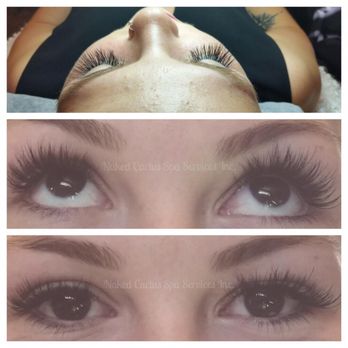 Naked Cactus - Eyelash Service Near Me Naked Cactus - Eyelash Service Near Me