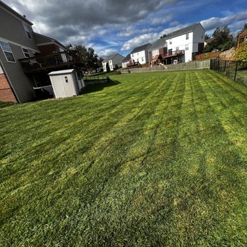 Fortune Ferns - Lawn Services Near Me Fortune Ferns - Lawn Services Near Me