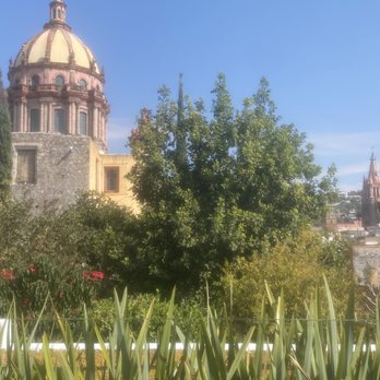Zumo - View from the rooftop - Restaurants Near Me - San Miguel de Allende, GUA Zumo - View from the rooftop - Restaurants Near Me - San Miguel de Allende, GUA