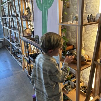 Village Rock Shop - My rock hound deciding what to get. - Gemstones & Minerals Near Me - Carlsbad, California Village Rock Shop - My rock hound deciding what to get. - Gemstones & Minerals Near Me - Carlsbad, California