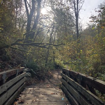 Coal Creek Natural Area - A bridge. - Parks Near Me - Bellevue, Washington Coal Creek Natural Area - A bridge. - Parks Near Me - Bellevue, Washington