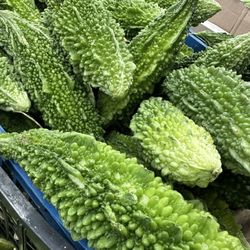 Janta Farmers Market