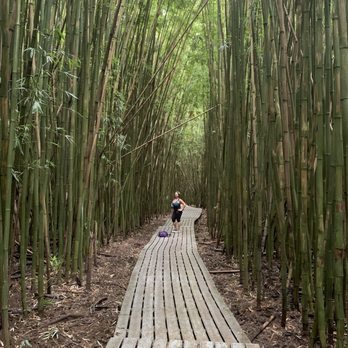 Pipiwai Trail - Hiking Near Me - Hana,, Hawaii