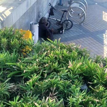Tustin Metrolink Station - Bums always find a place to charge their phone. - Public Transportation Near Me - Tustin, California Tustin Metrolink Station - Bums always find a place to charge their phone. - Public Transportation Near Me - Tustin, California