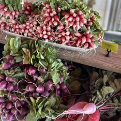 Greenhouse Gardens - Such beautiful veggies!