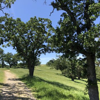 Bishop Ranch Regional Preserve - Hiking Near Me