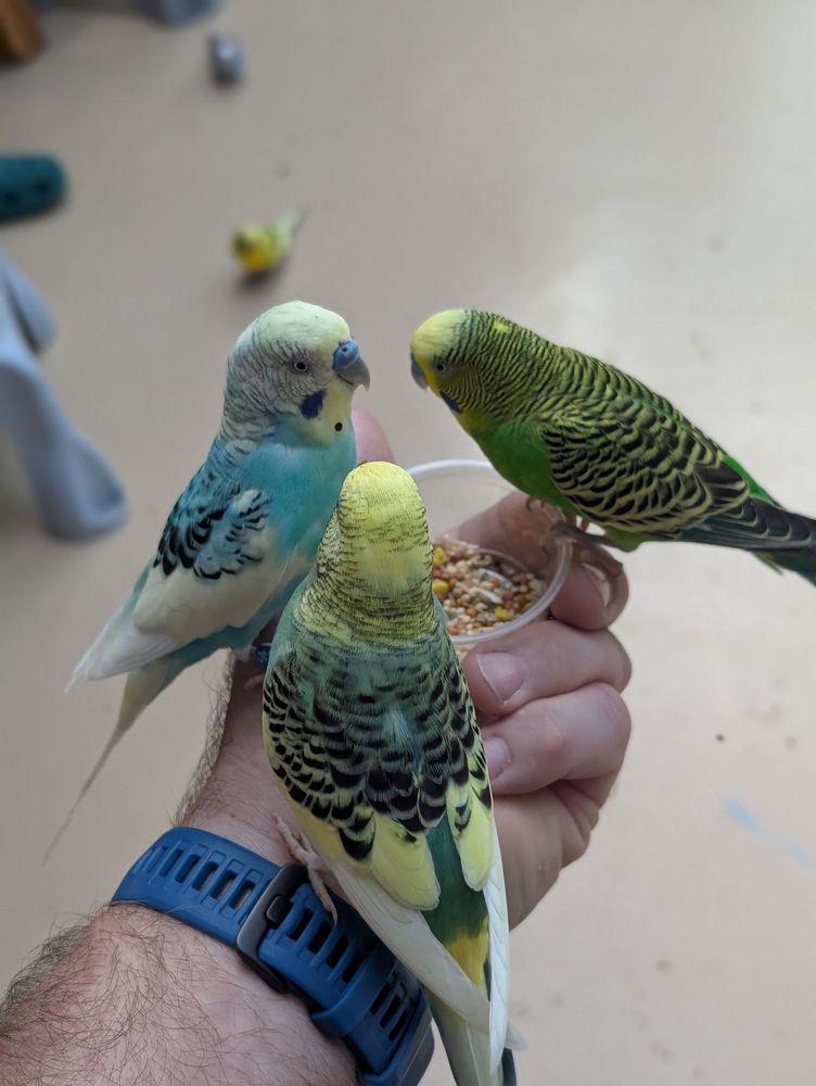 Science Museum of Western Virginia