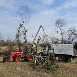YWS Tree Service
