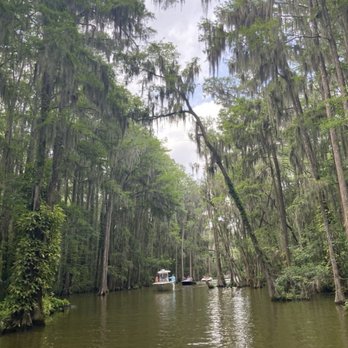 Lake Dora - Boating Near Me - Tavares, Florida
