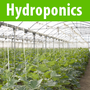 Harvest Moon Hydroponics