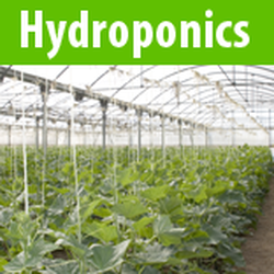 Harvest Moon Hydroponics