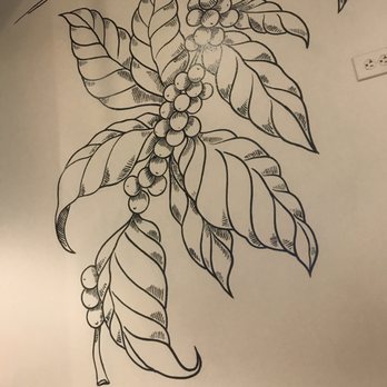 Starbucks - Coffee & Tea Near Me - Manassas, Virginia