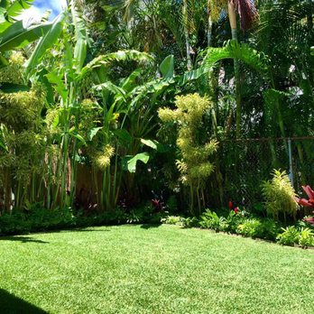 A & K Landscape Services - Tree Services Near Me