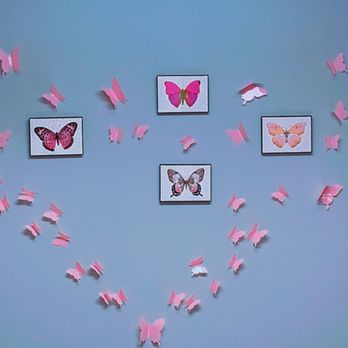 Butterflies in Motion - classroom - Vocational & Technical School Near Me - Yorktown, Virginia Butterflies in Motion - classroom - Vocational & Technical School Near Me - Yorktown, Virginia