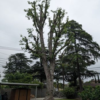 Egan Tree Care - Landscaping Near Me Egan Tree Care - Landscaping Near Me