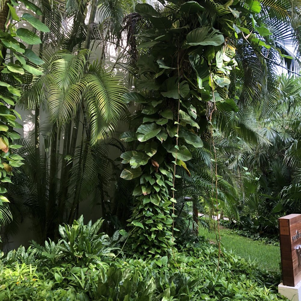 Mayan Palace - Hotels Near Me - Playa del Carmen, ROO