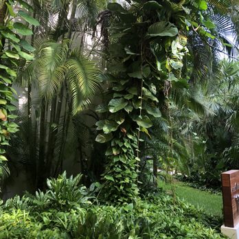 Mayan Palace - Hotels Near Me - Playa del Carmen, ROO