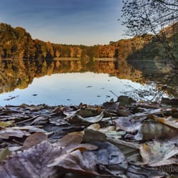Krumme Lanke - Krumme Lanke im Herbst 2015