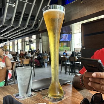 Yard House - Half Yards - New American Near Me - Orlando, Florida